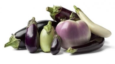 Photo of Recettes d’aubergines: une extravagance de saveurs