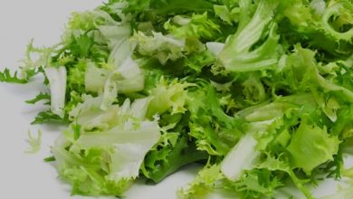 Photo of Escarole de pavot aux noix de pin