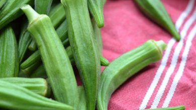 Photo of Okra et tomates à l’ancienne