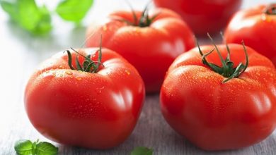 Photo of Recettes et astuces de tomates d’été