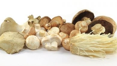 Photo of Soupe polonaise aux champignons de Babci