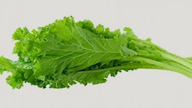 Photo of Verts «moutarde» fanés