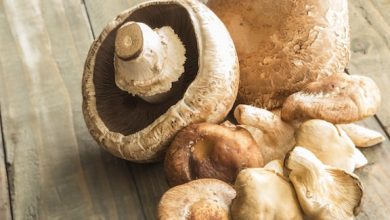 Photo of Pâtes aux cheveux d’ange aux champignons et tomates