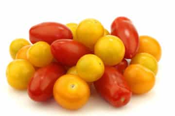 tomates cerises rouges et jaunes