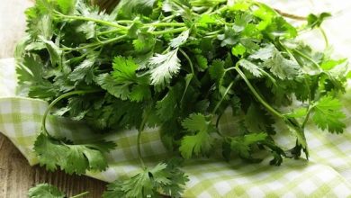 Photo of Vinaigrette à la coriandre et à la lime