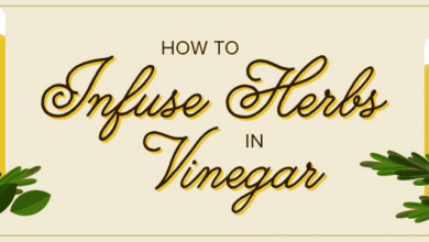 Photo of Comment faire du vinaigre infusé aux herbes