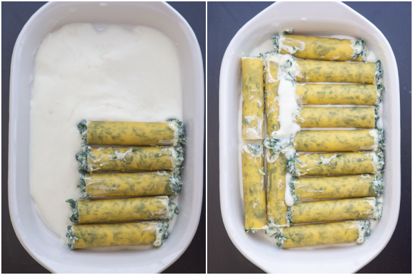placer les cannellonis dans le plat de cuisson.