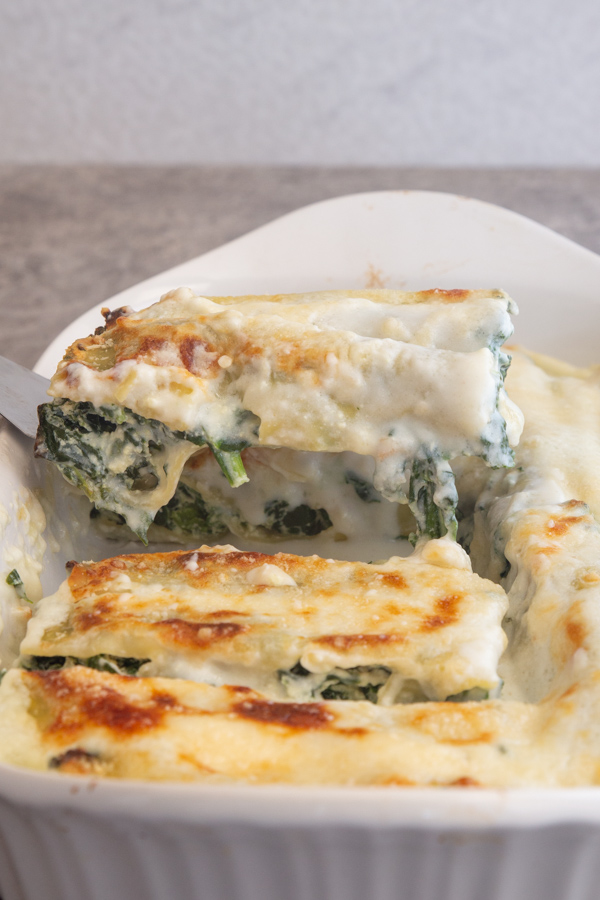 cannelloni sur une spatule au-dessus de la casserole.