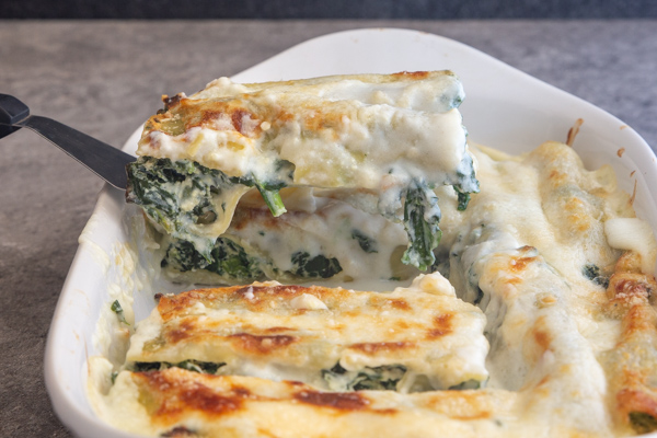 cannelloni sur une spatule au-dessus de la casserole.
