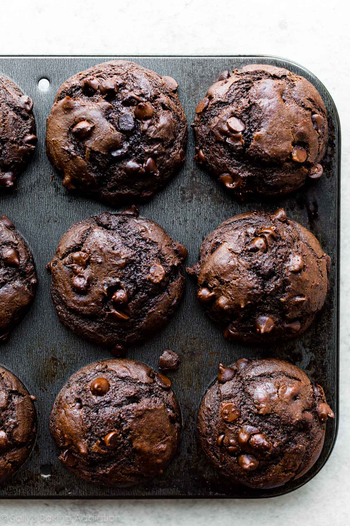 muffins au chocolat double dans un moule à muffins