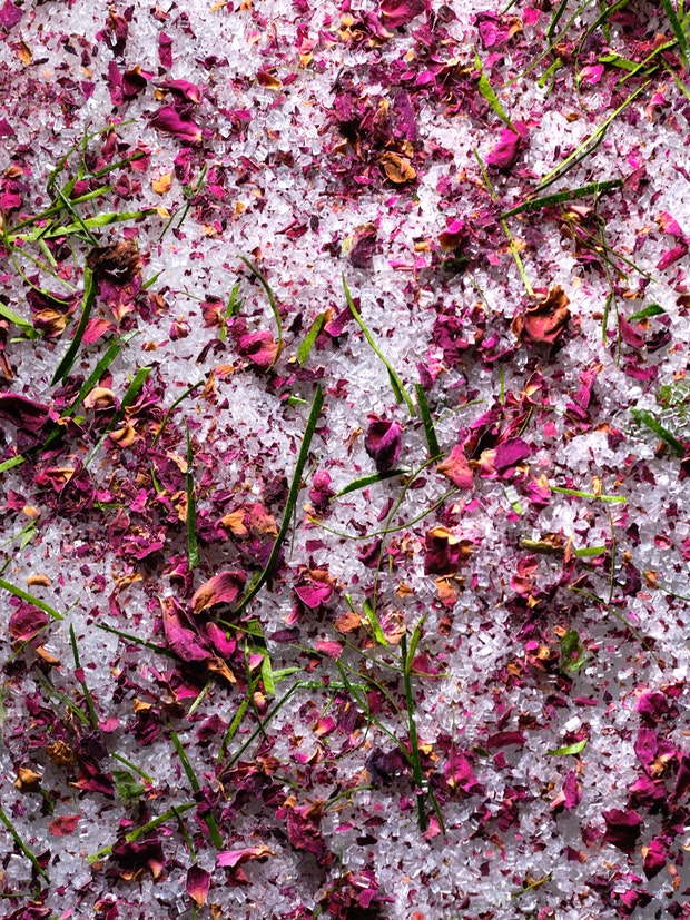 Mélanges d'épices - Rose Géranium Lime Sucre