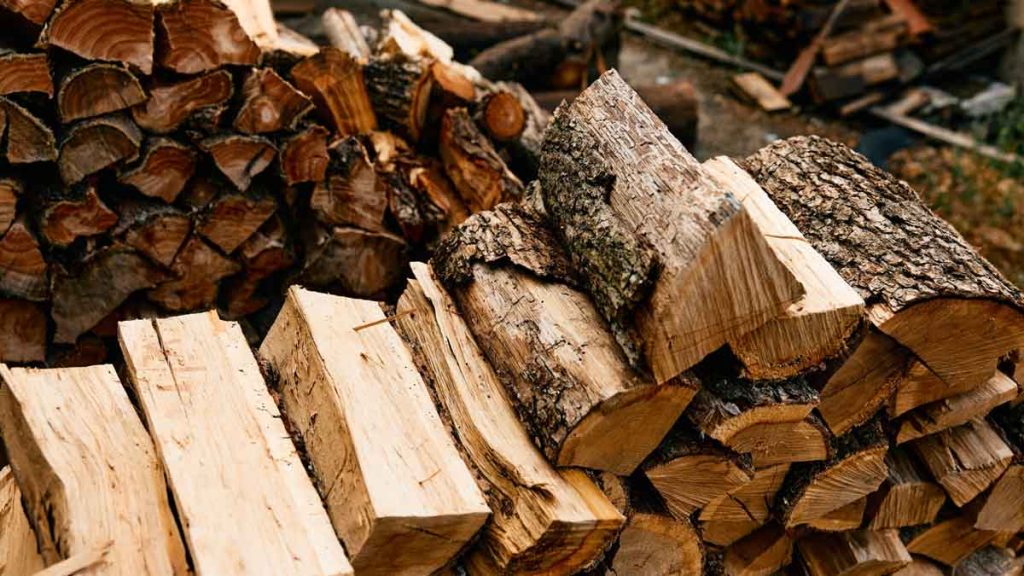 Prix d’un stère de bois en 50 cm en 2026 